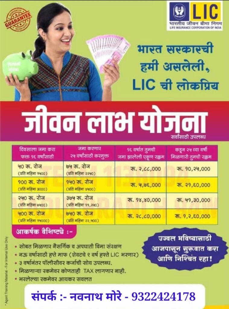 LIC life insurance corporation