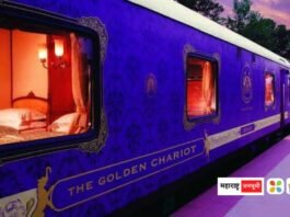 Golden Chariot train